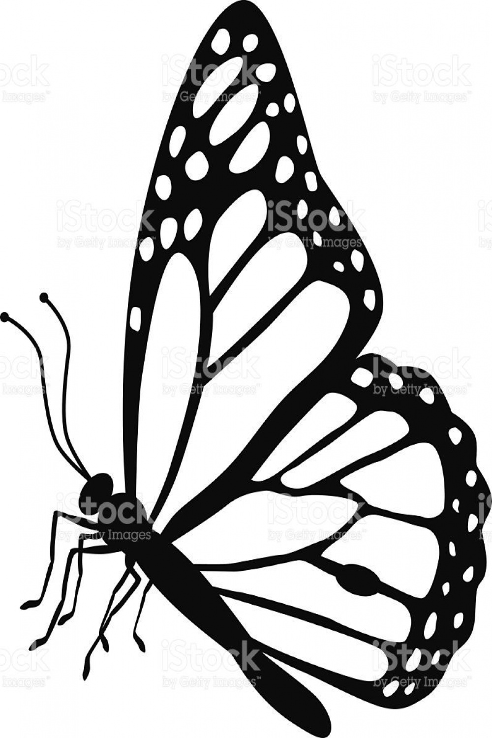 Image result for monarch butterfly  Butterfly drawing, Easy