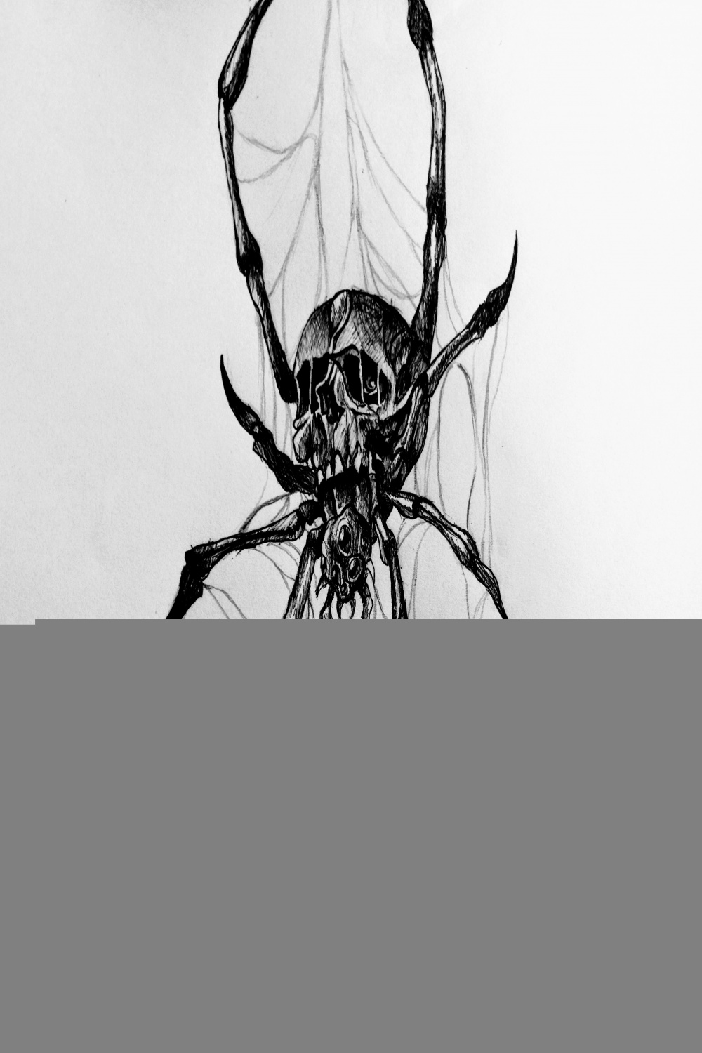 Ink drawing of a Scary Spider (ENG/ESP) — Hive