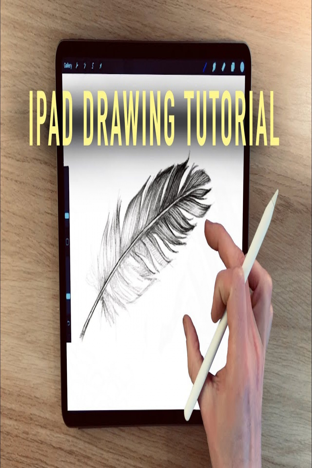 IPad Drawing tutorial - HOW TO DRAW A FEATHER