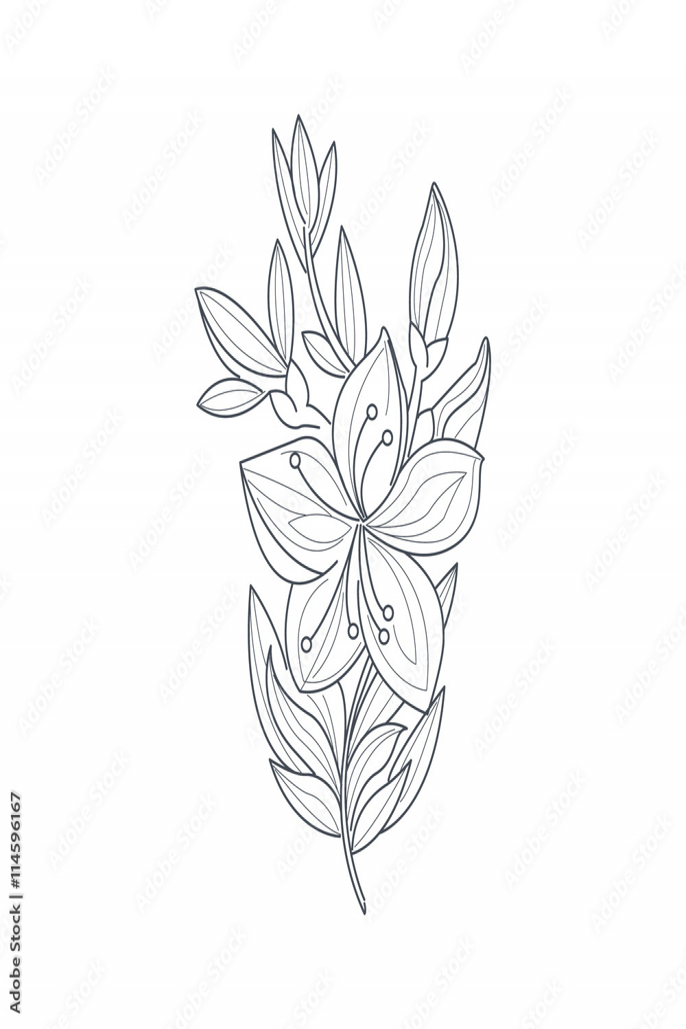 Jasmine Flower Monochrome Drawing For Coloring Book Stock