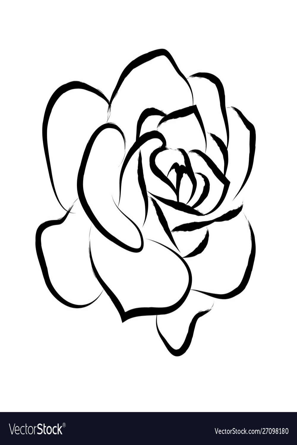 Line drawing black roses in a white background Vector Image