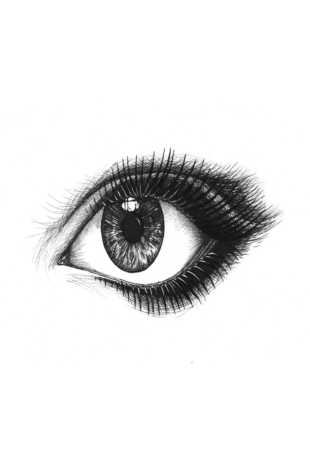 Looking at You Intricate Ink Canvas - Rory Dobner