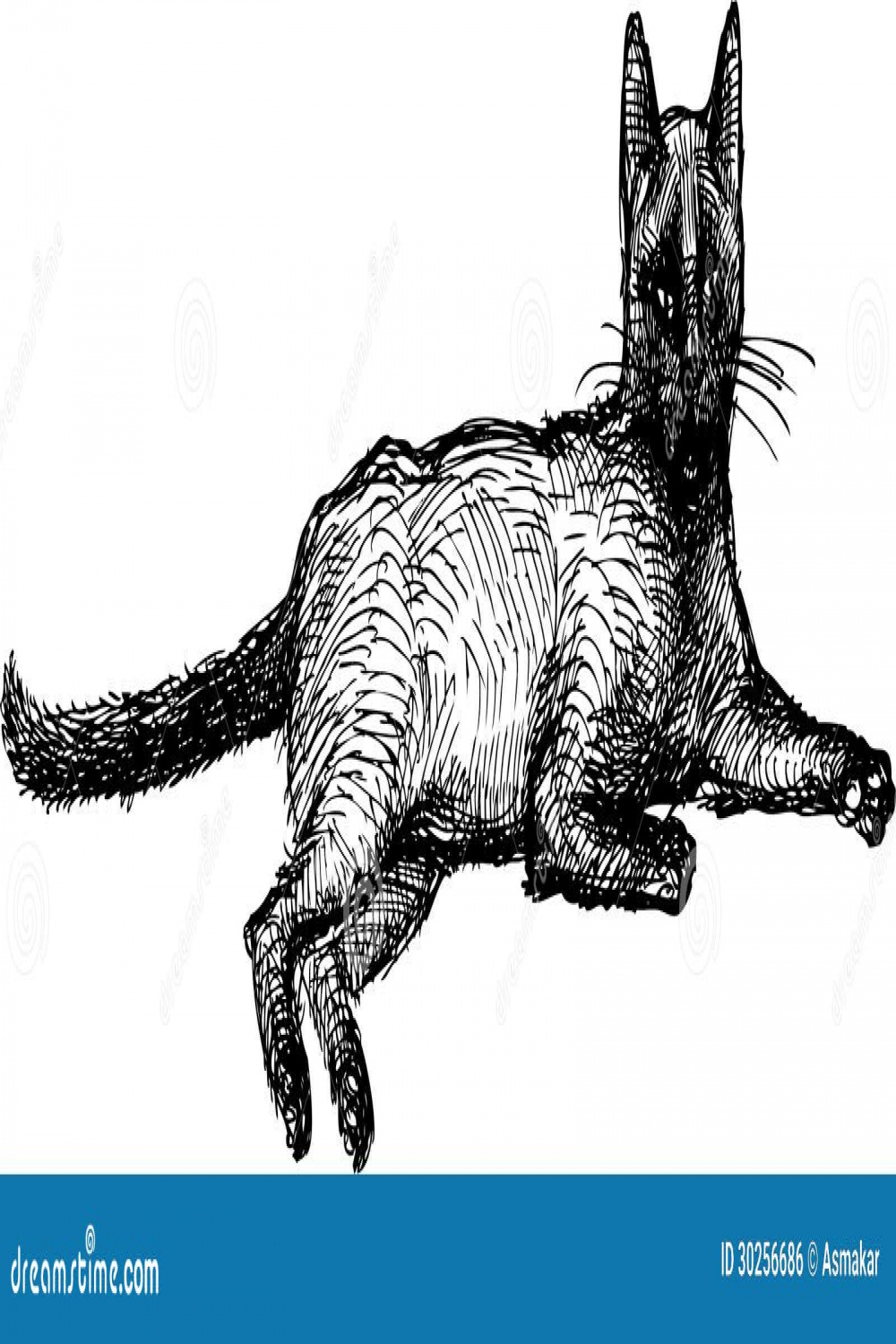 Lying Cat Stock Illustrations – , Lying Cat Stock