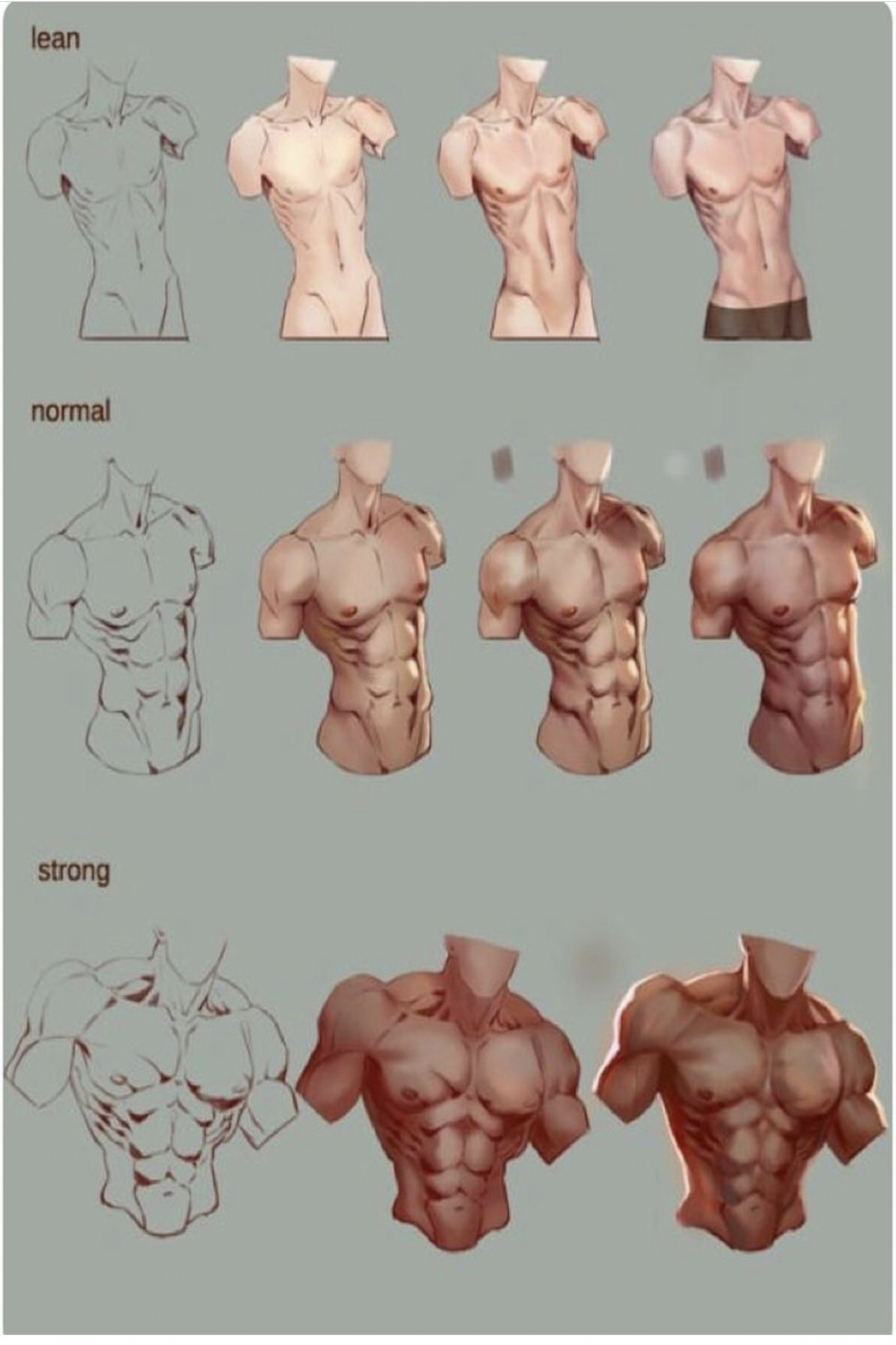 Male body structure  Art reference, Anatomy drawing, Art