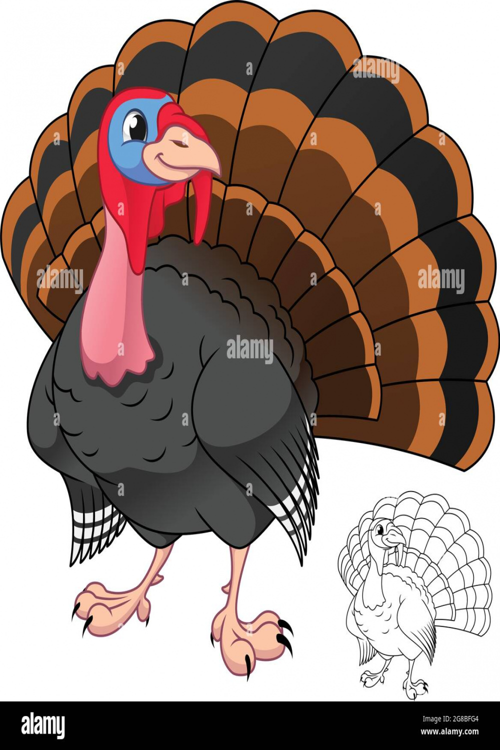 Male Turkey Bird with Line Art Drawing, Animal Birds, Vector