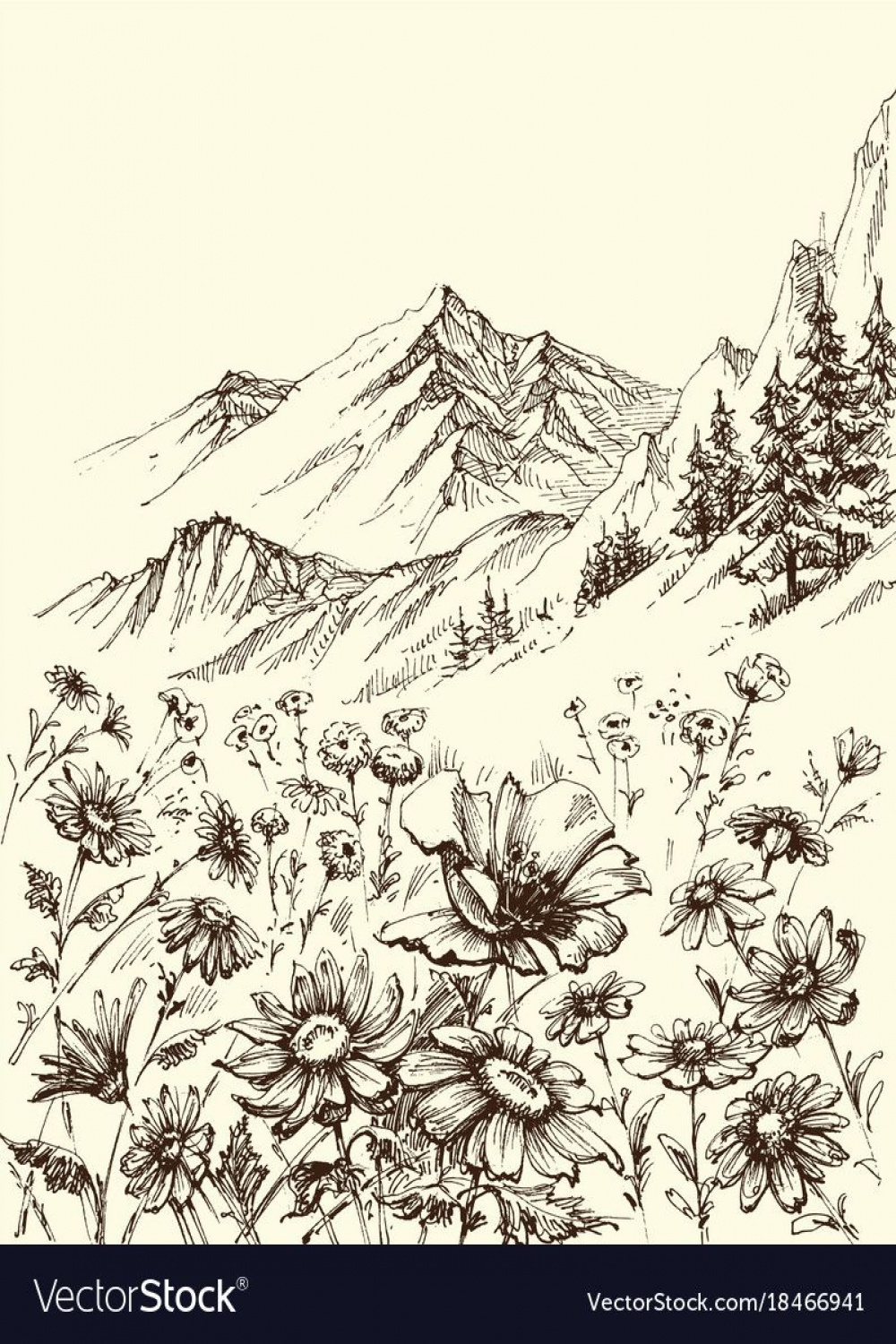 Mountain landscape, flowers border sketch