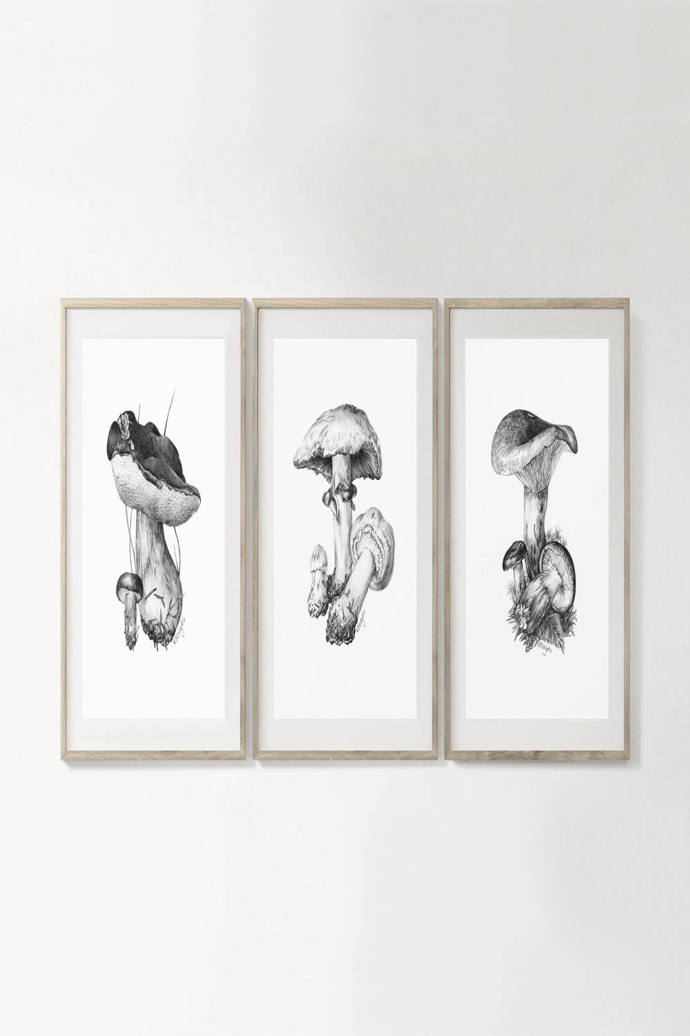 Mushroom Art PRINT Set of  Graphite Pencil Drawing Autumn - Etsy