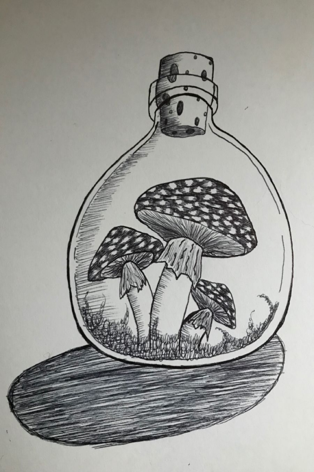 Mushroom jar  Ink pen drawings, Mushroom drawing, Easy drawings