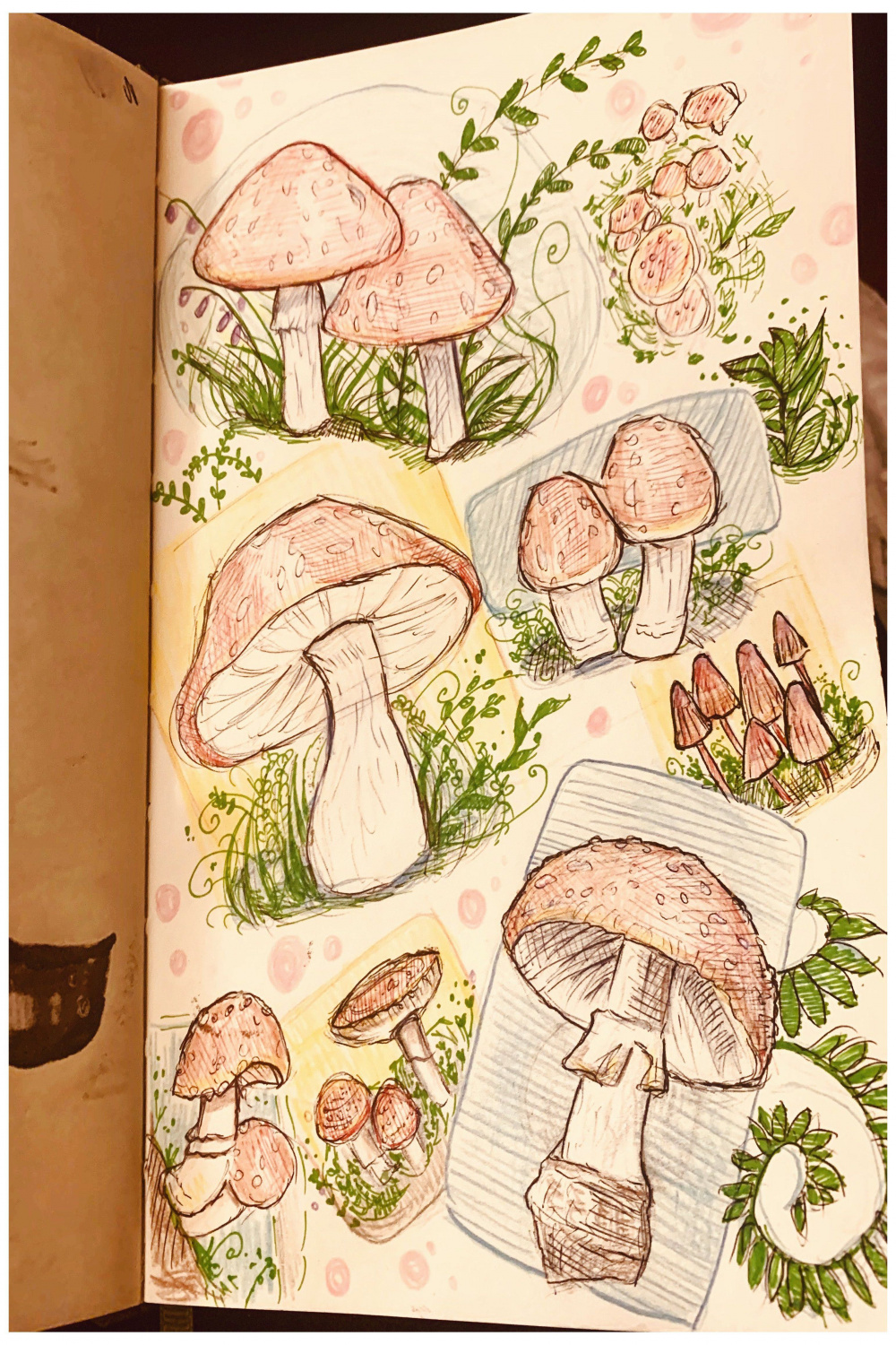 Mushroom page 🍄 #drawing #inspiration #sketchbooks