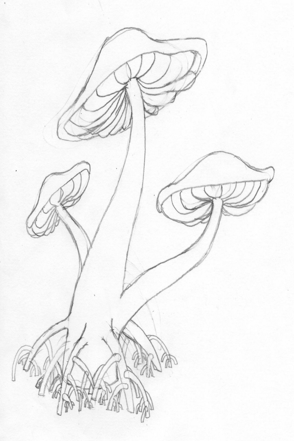 Mushroom Tree Sketch by Sotalo on DeviantArt