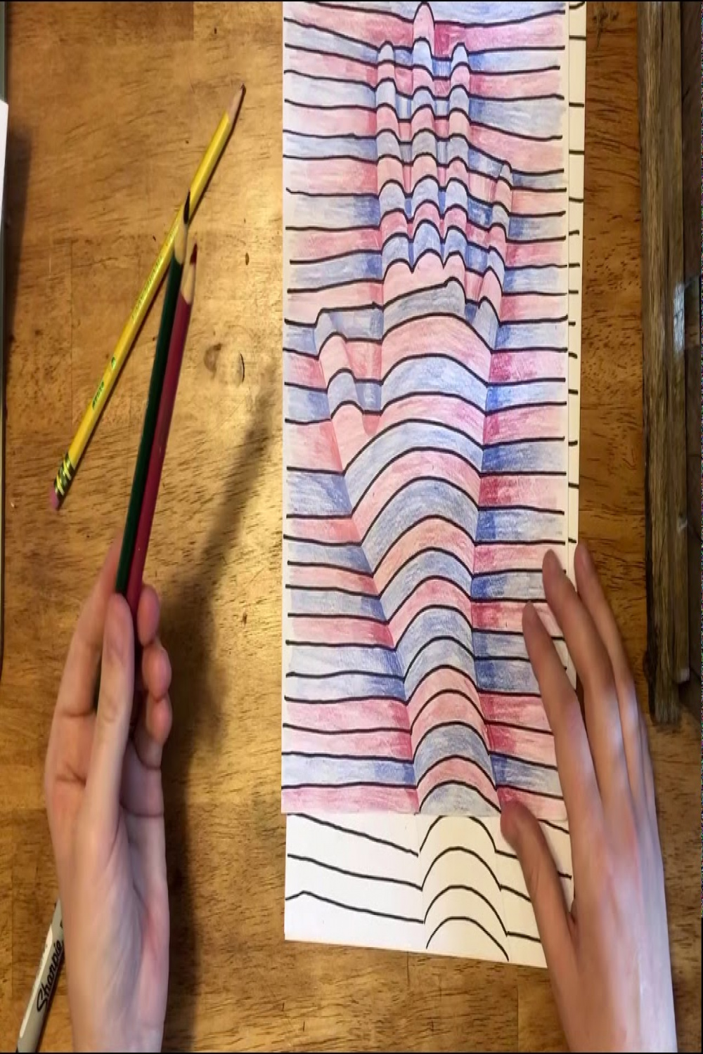 Op Art Hand Drawing