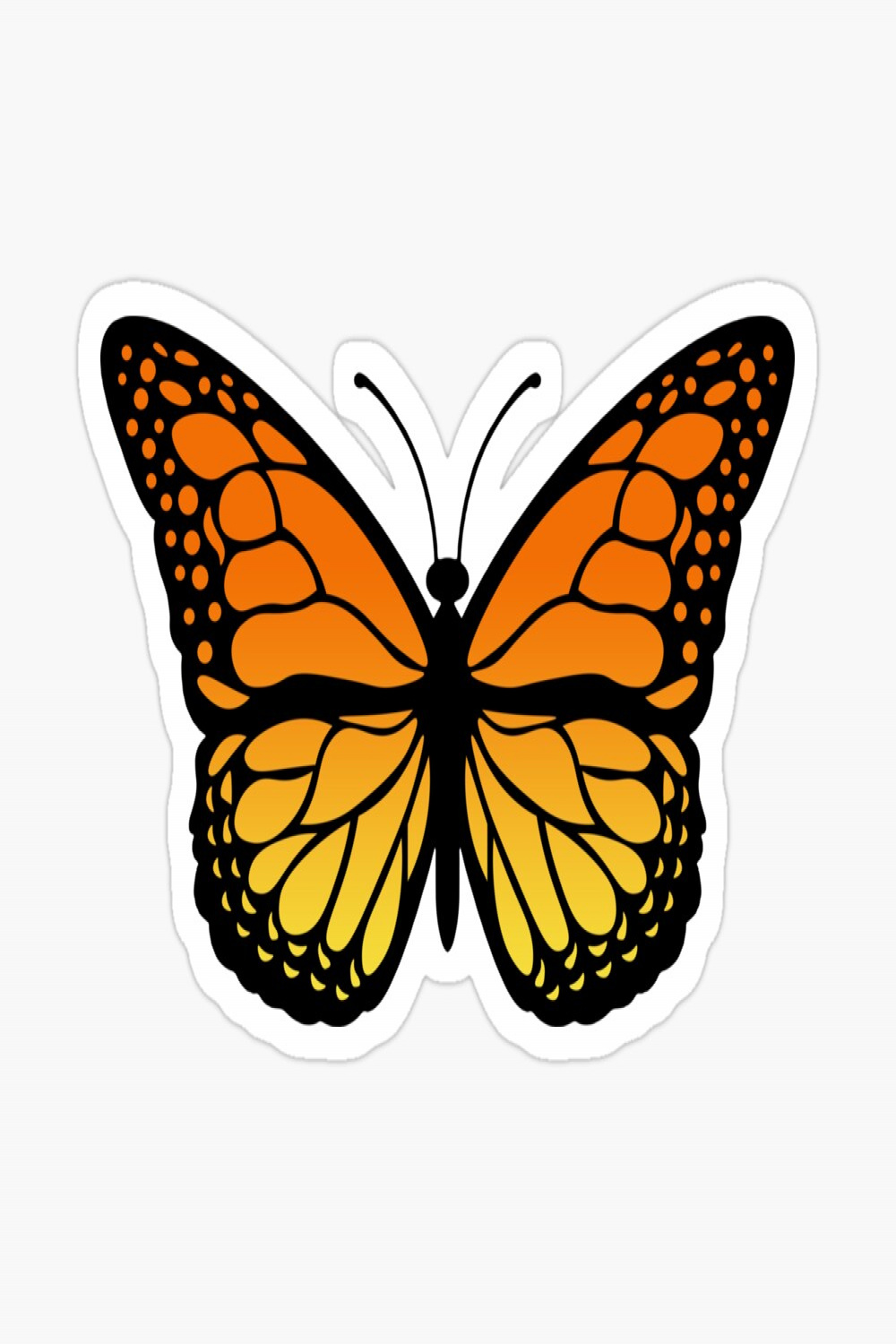 Orange Yellow Butterfly  Poster