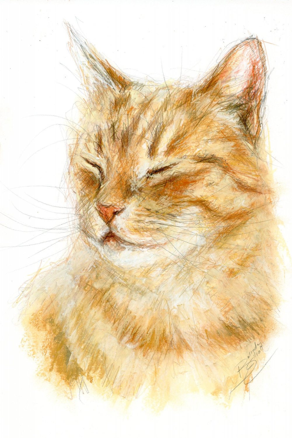 Original Artwork A Mixed Media Drawing of a Ginger Cat by - Etsy