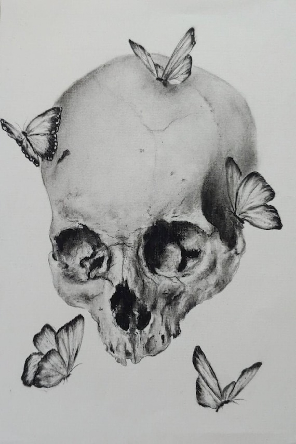 Original Charcoal Skull Butterfly Drawing Graphite Skull - Etsy