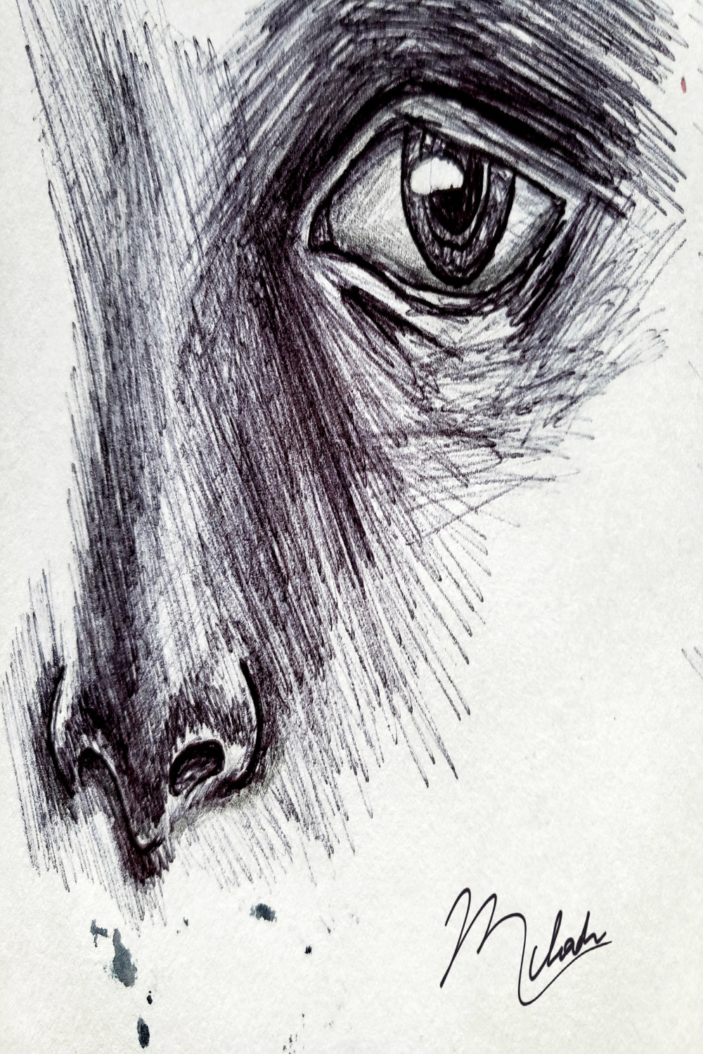 Part of a face I drew with black ballpoint pen : r/ballpointart