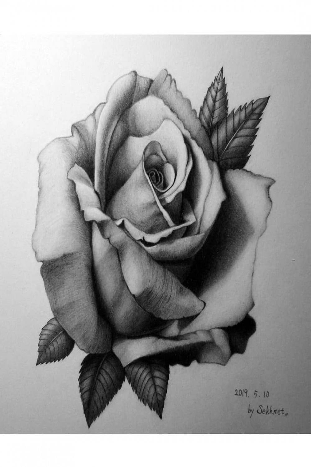 Pin by Zoli Danko on Skech  Rose drawing tattoo, Realistic rose