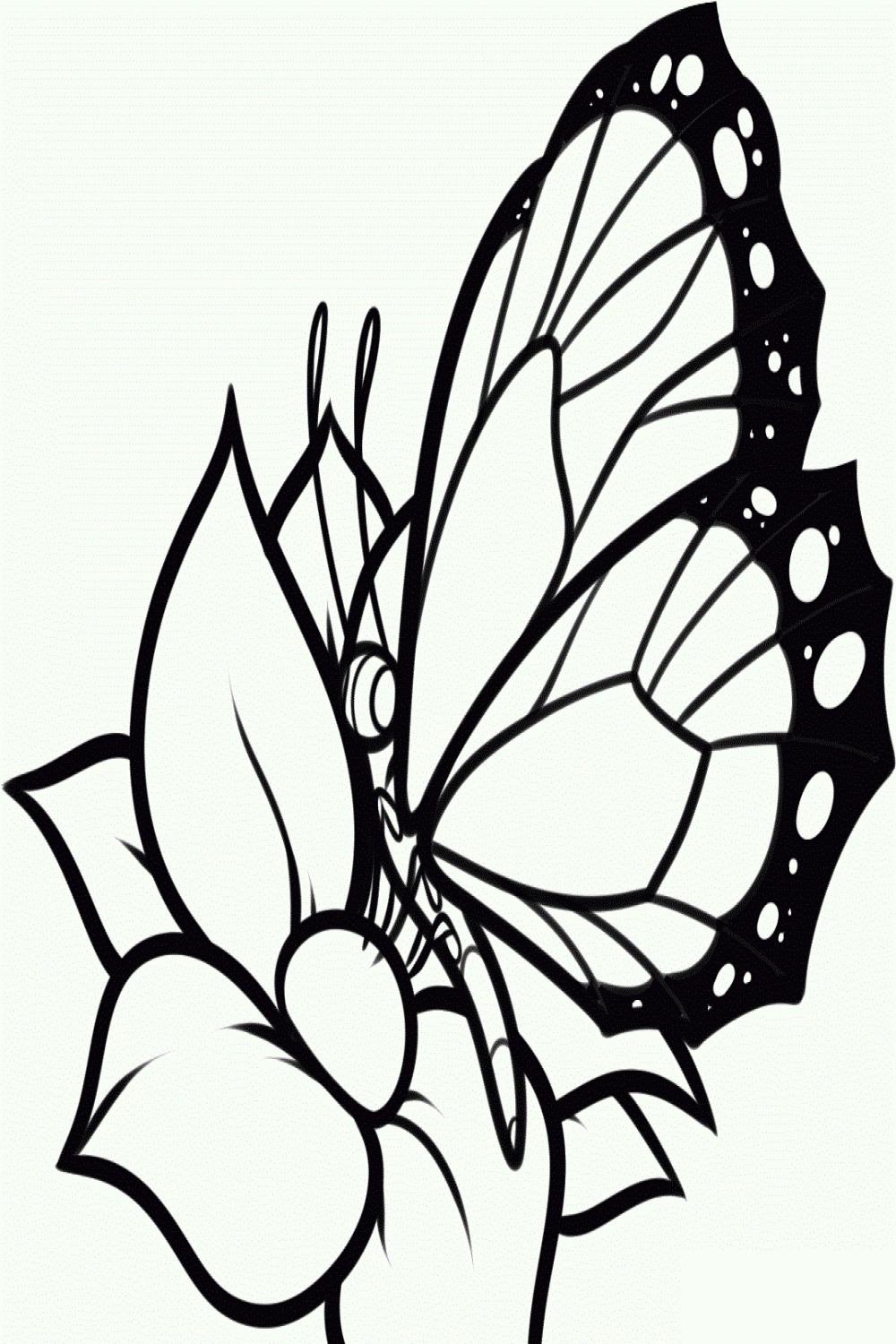 Pin on coloring pages