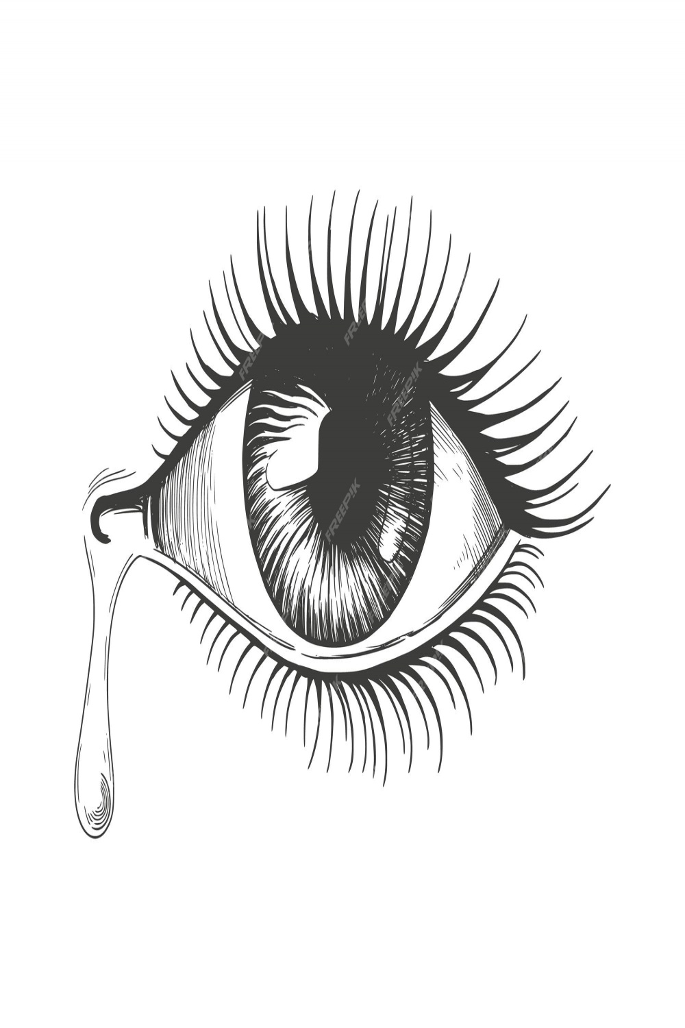 Premium Vector  Hand-drawn realistic beautiful female eye, sketch