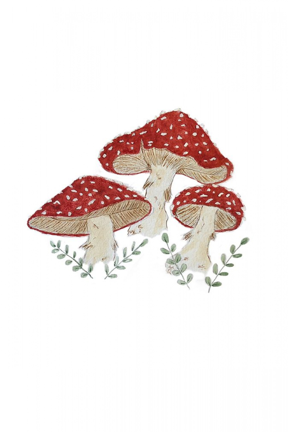 Red mushrooms  Mushroom drawing, Mushroom wallpaper, Mushroom art