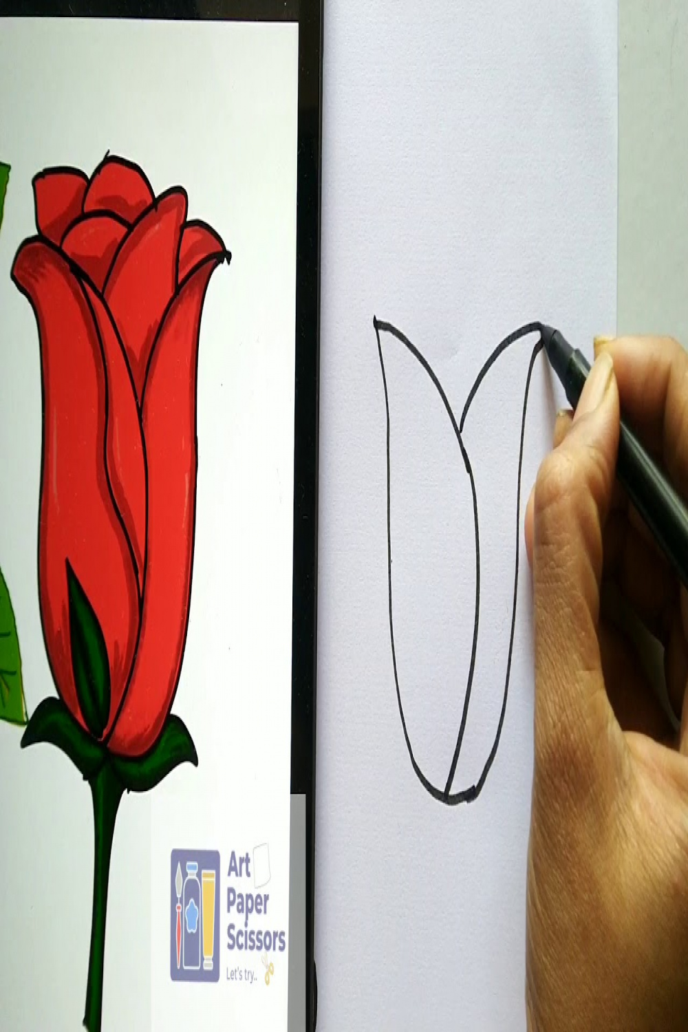 Rose drawing  Easy drawing  Rose bud #rose #rosedrawing