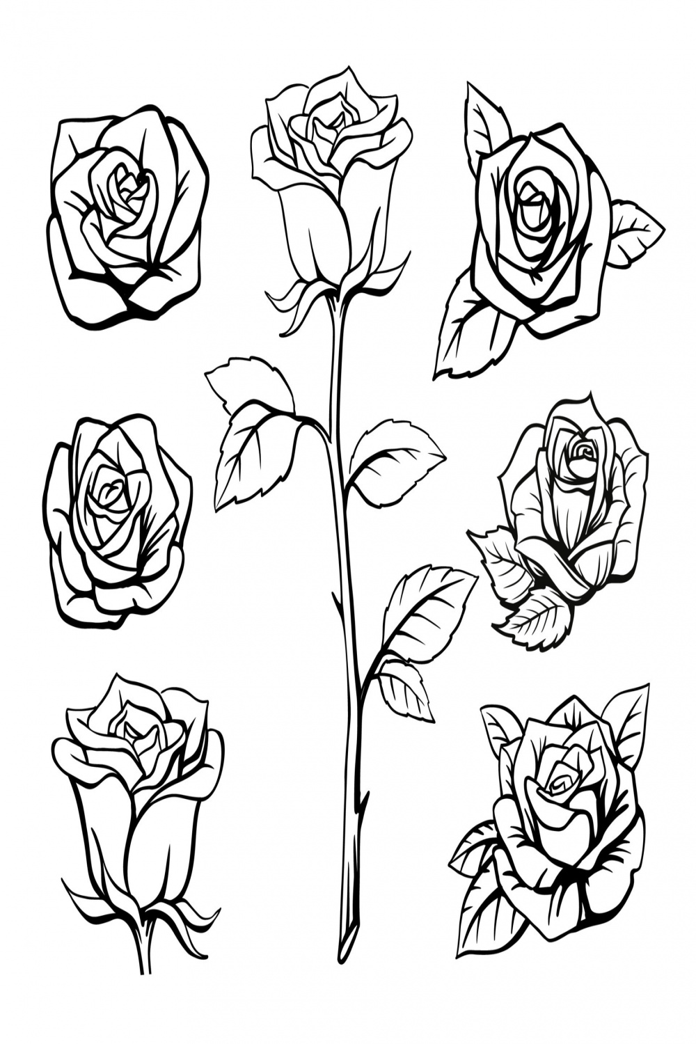 Rose flower outline hand drawn
