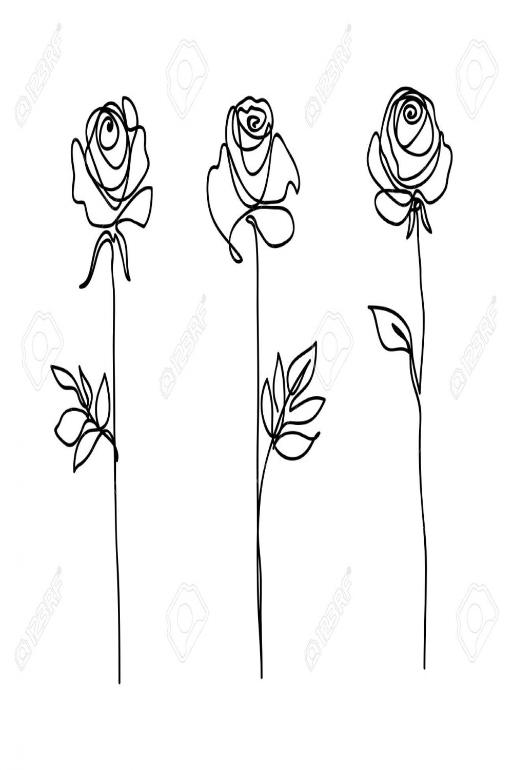 Rose Flower Set. Continuous Drawing