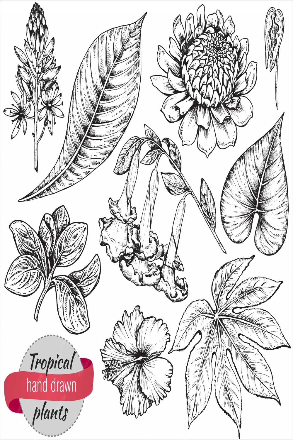 Sammlung von handgezeichneten tropischen blumen, palmblättern