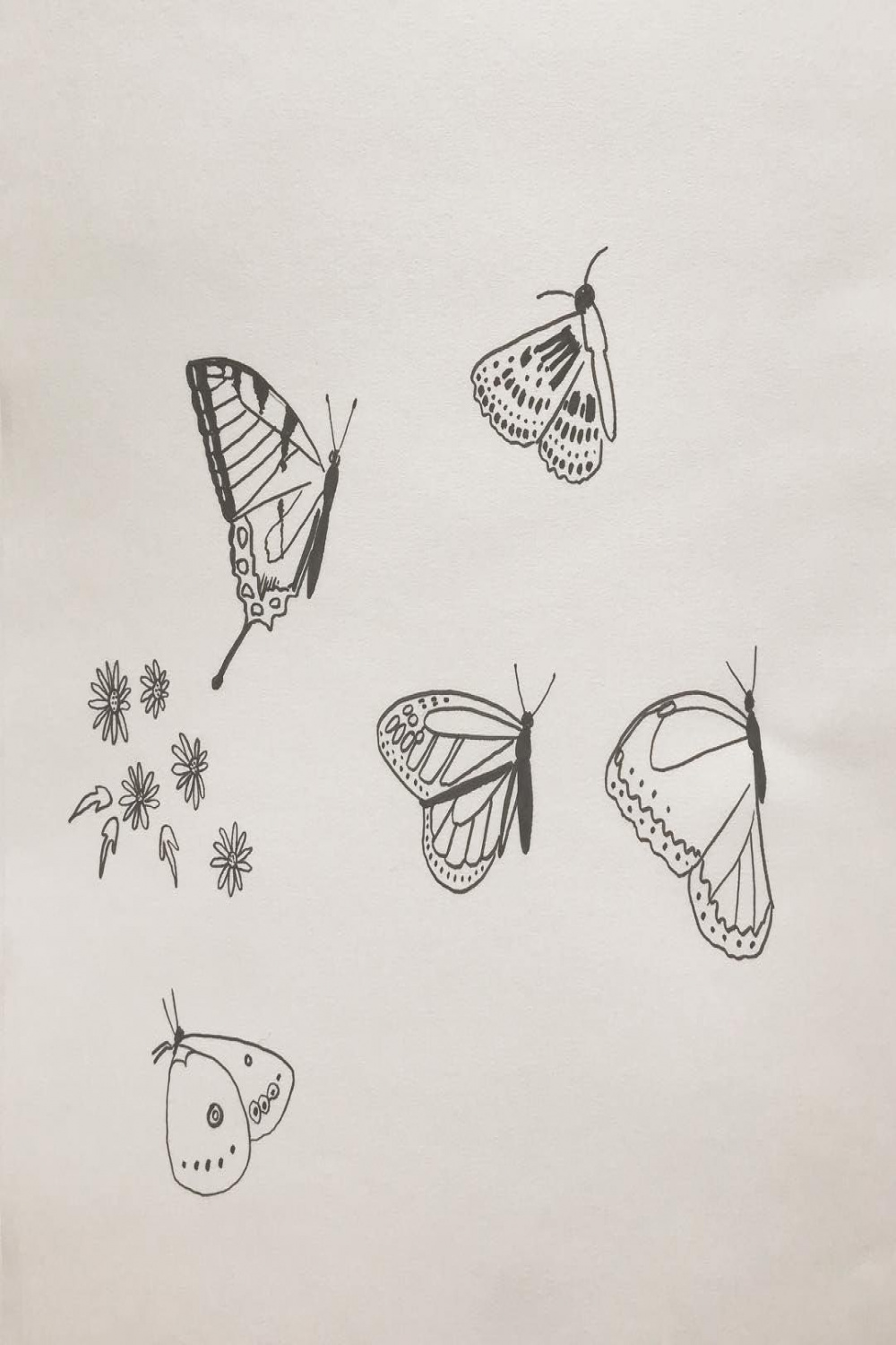 Secret to drawing butterflies: only draw half and reflect a copy