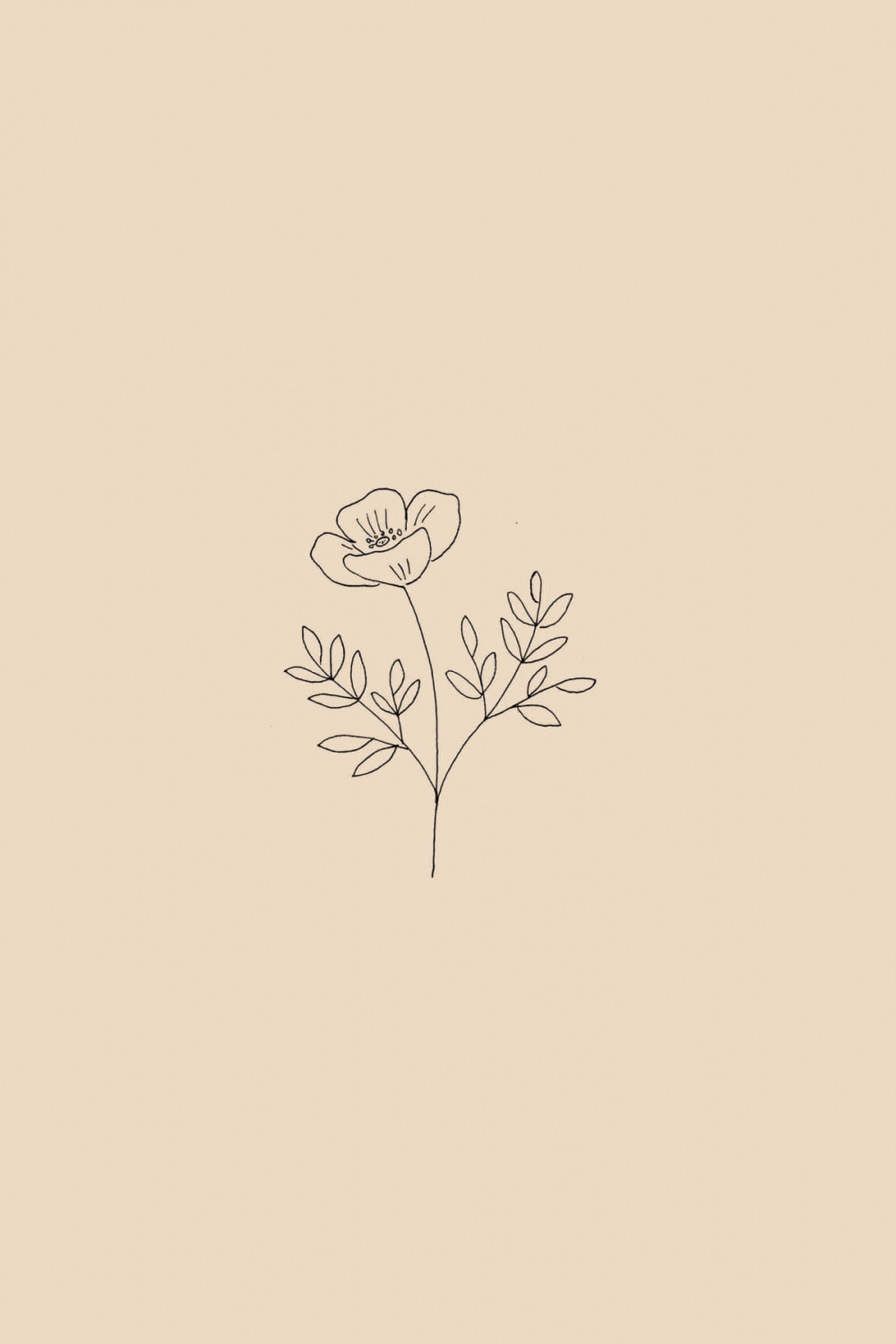+] Simple Flower Wallpapers  Wallpapers