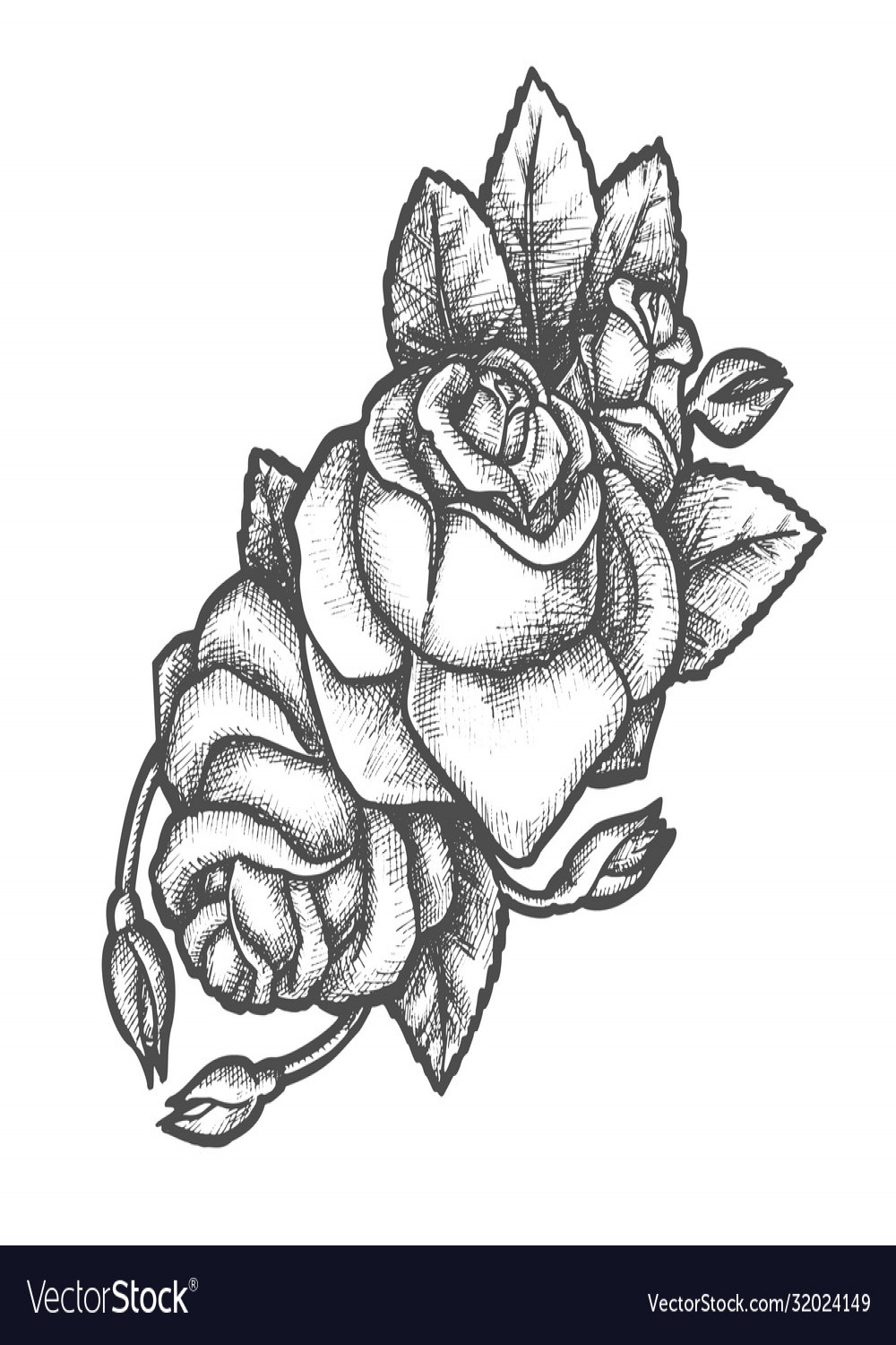 Sketch rose flower for tattoo or romantic gift Vector Image