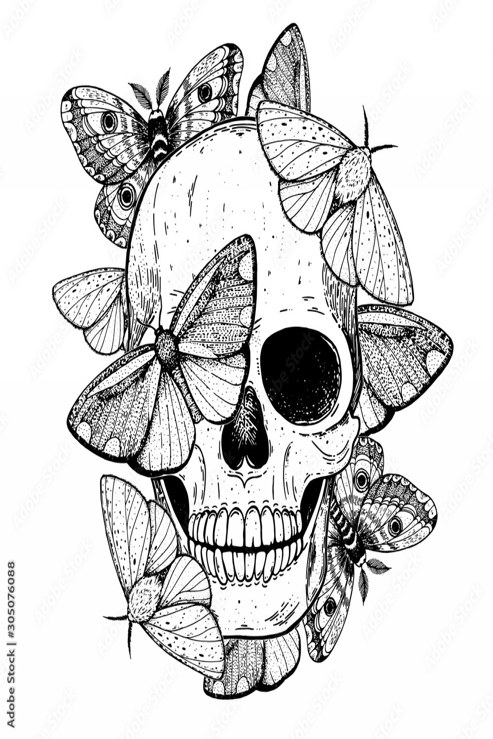 Skull and butterflies hand drawn sketch illustration