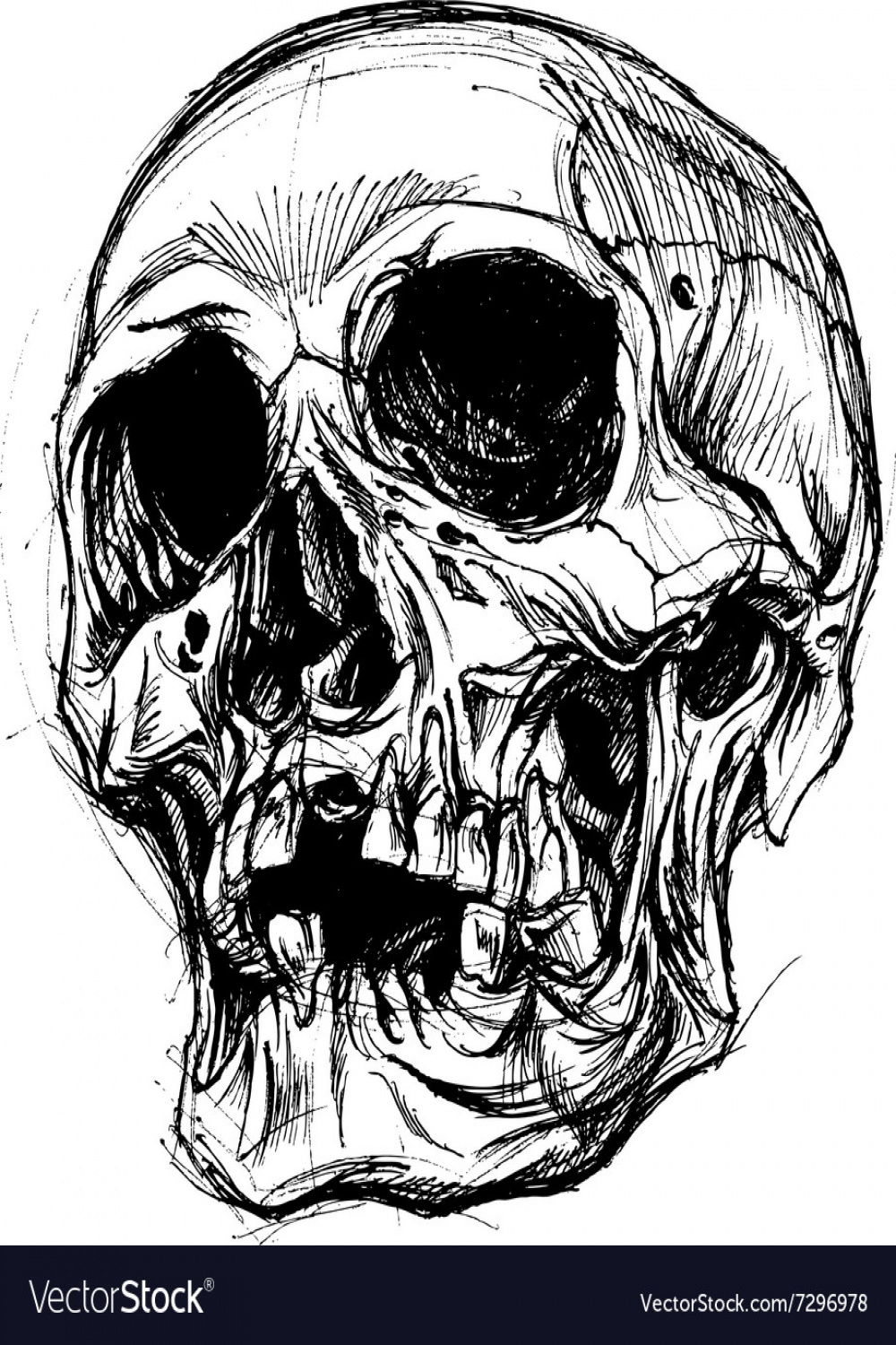 Skull drawing line work Royalty Free Vector Image