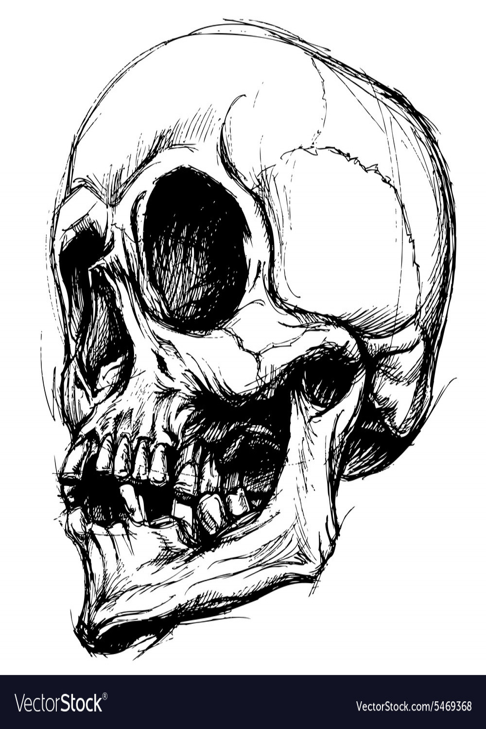 Skull drawing line work Royalty Free Vector Image
