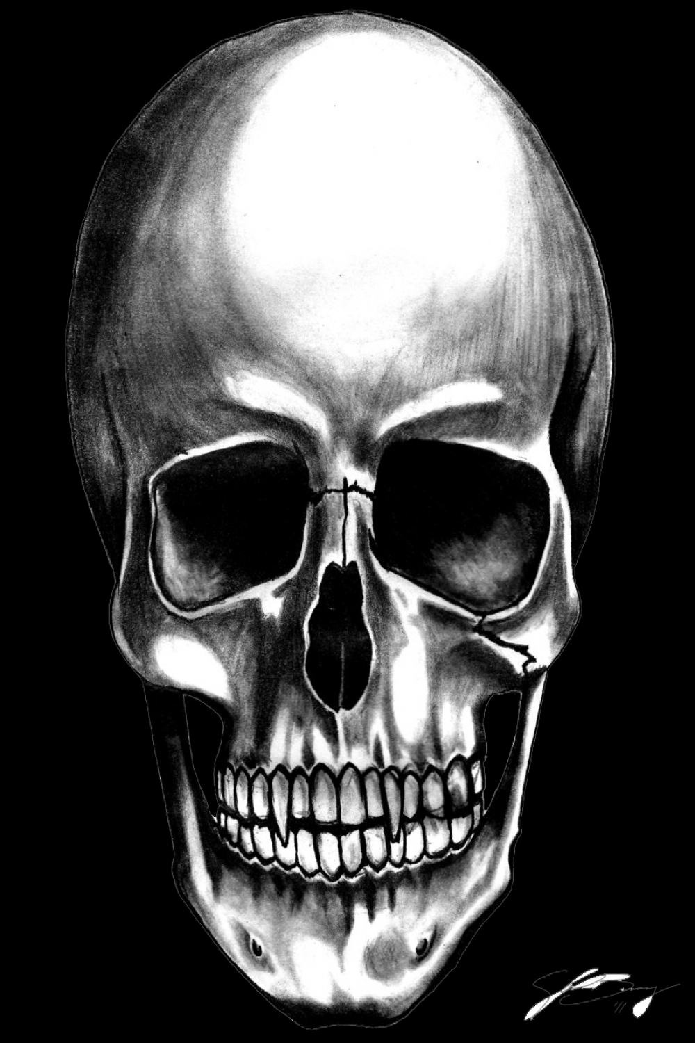 Skull PNG transparent image download, size: xpx