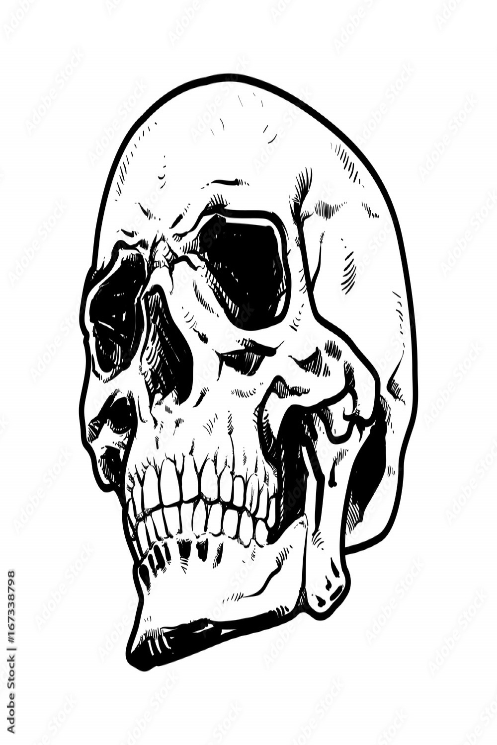 Skull Vector illustration, Collection Of Hand Drawn halloween