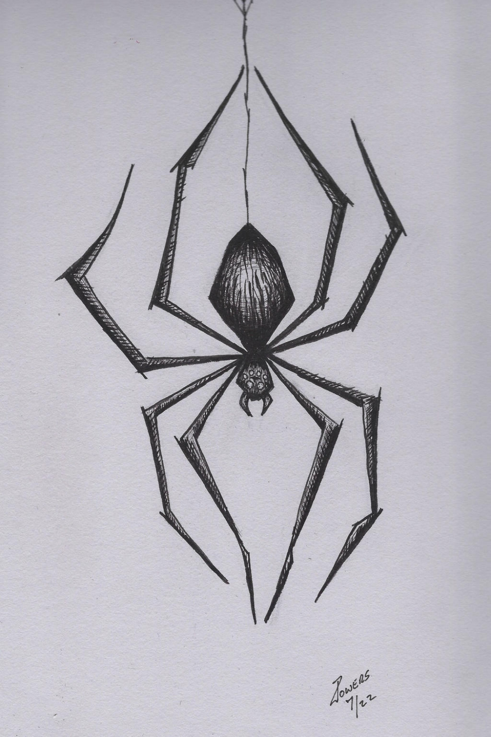 Spider by DesolateProphet on DeviantArt