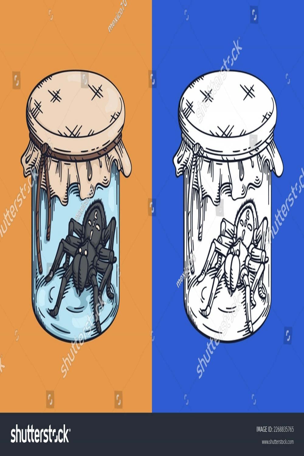 Spider Jar Engraving Drawing Technique Vintage Stock Vector