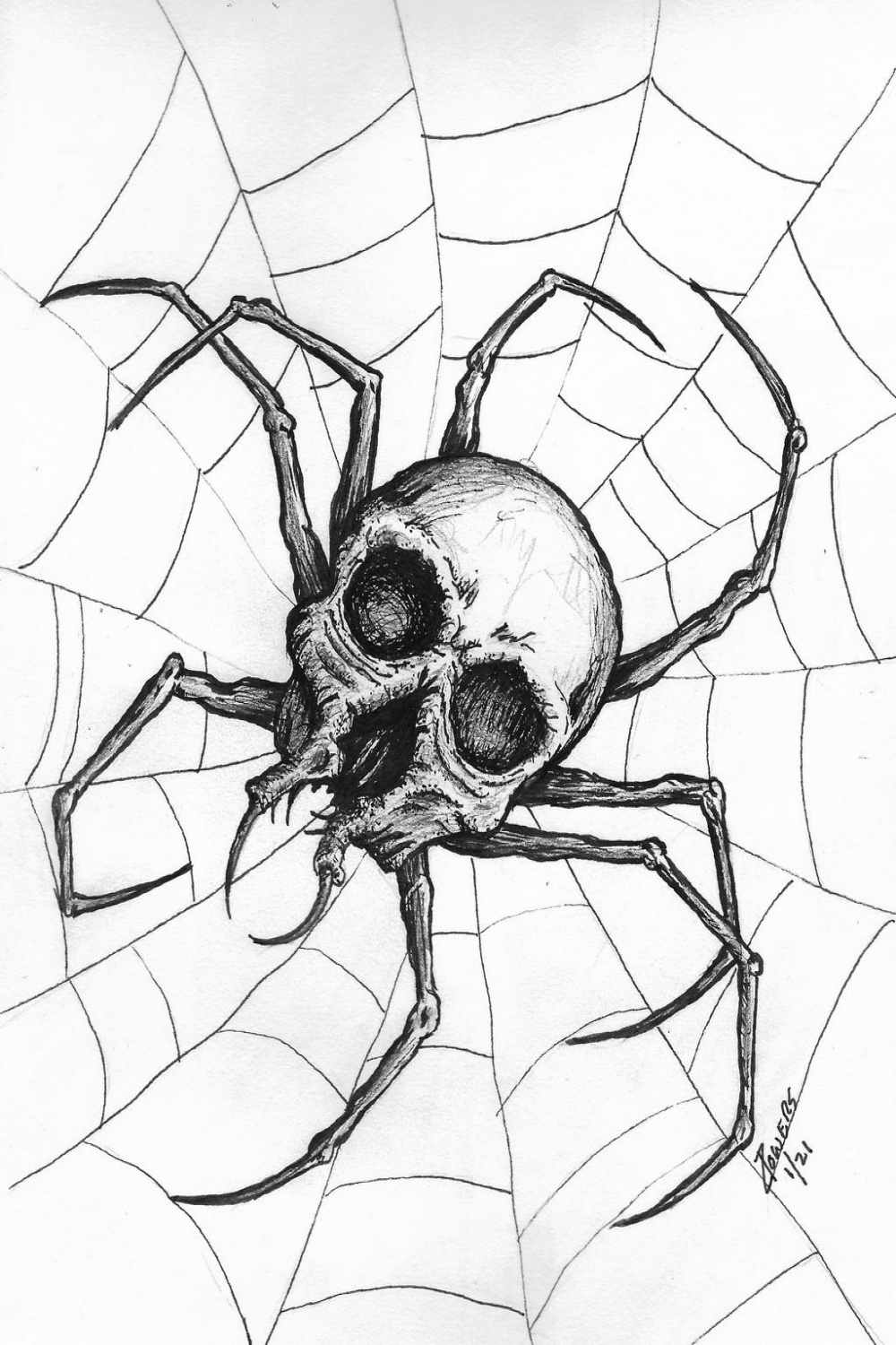 Spider Skull by DesolateProphet on DeviantArt