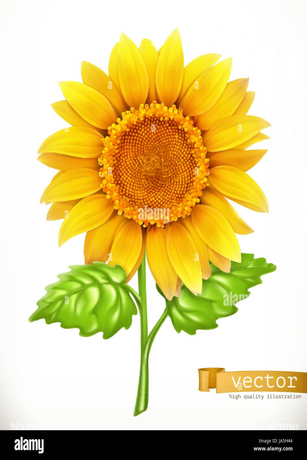 Sun Flower 3d Drawing