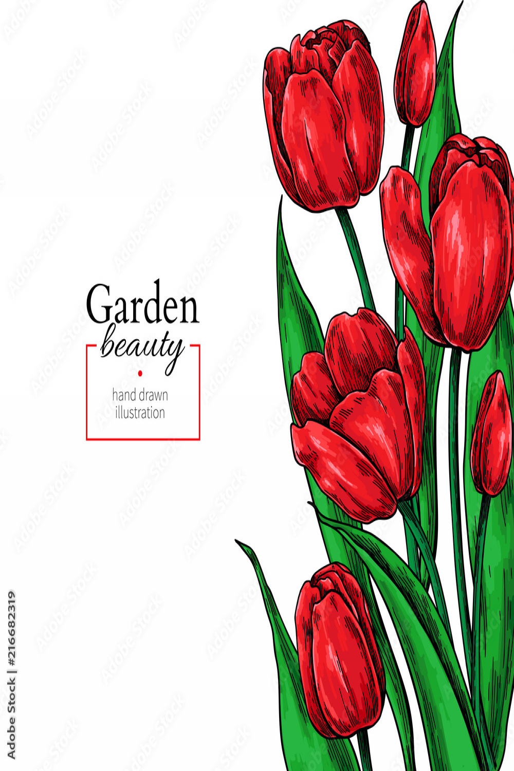 Tulip flower and leaves drawing border