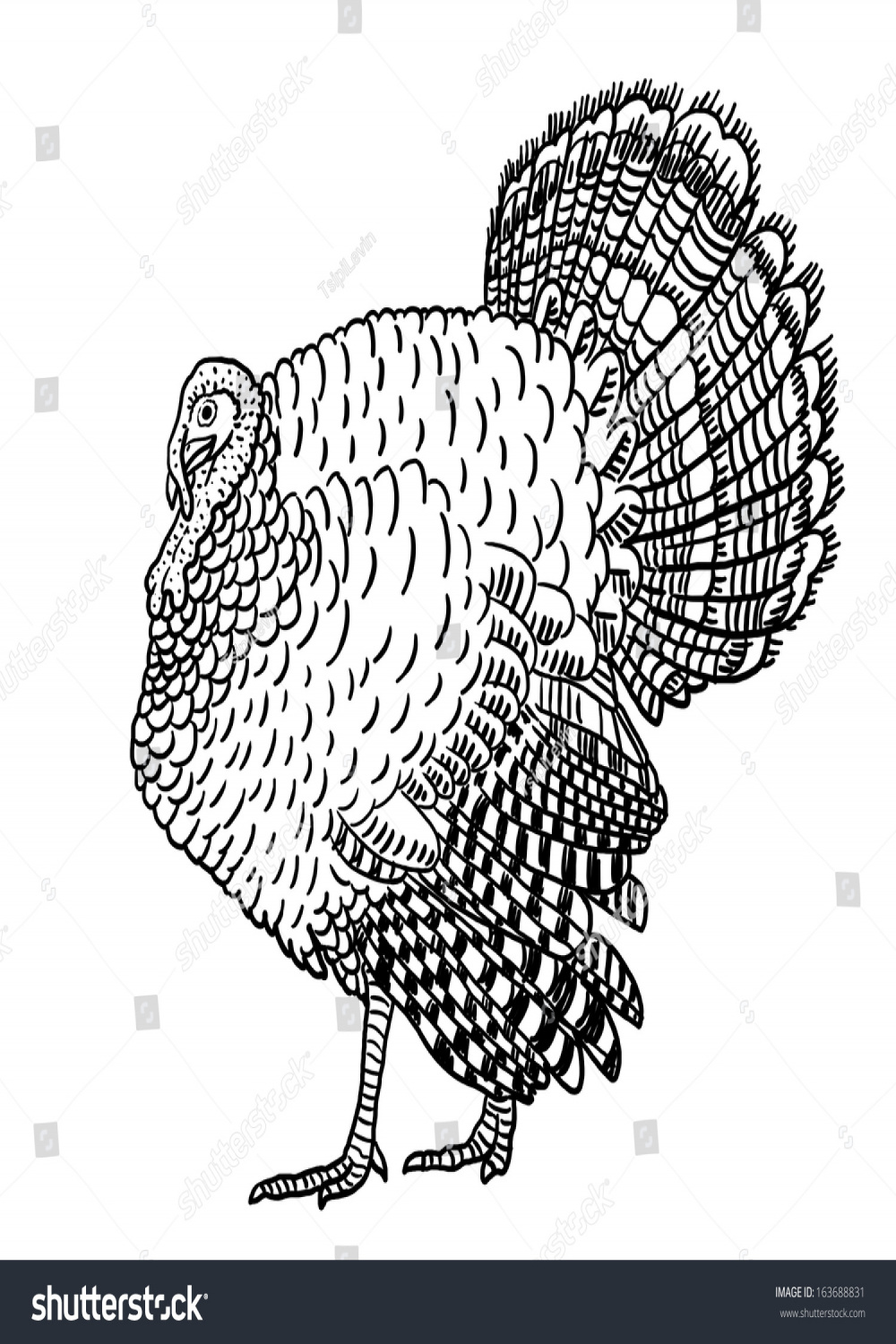 Turkey Outline Illustration Turkey Bird Black Stock Illustration