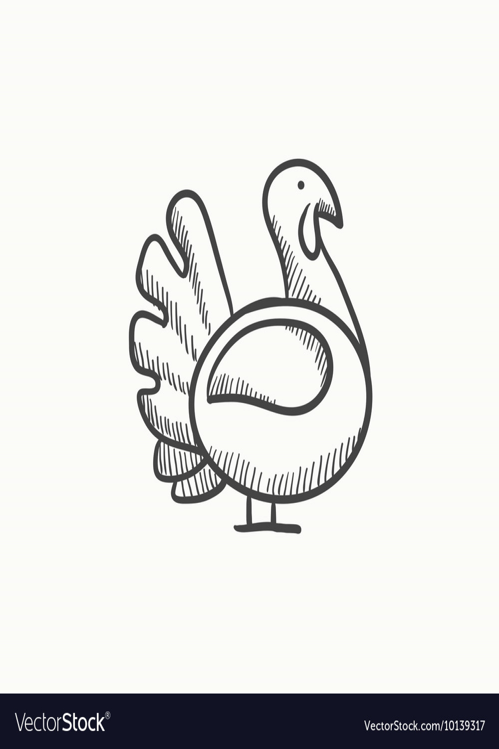 Small Turkey Drawing