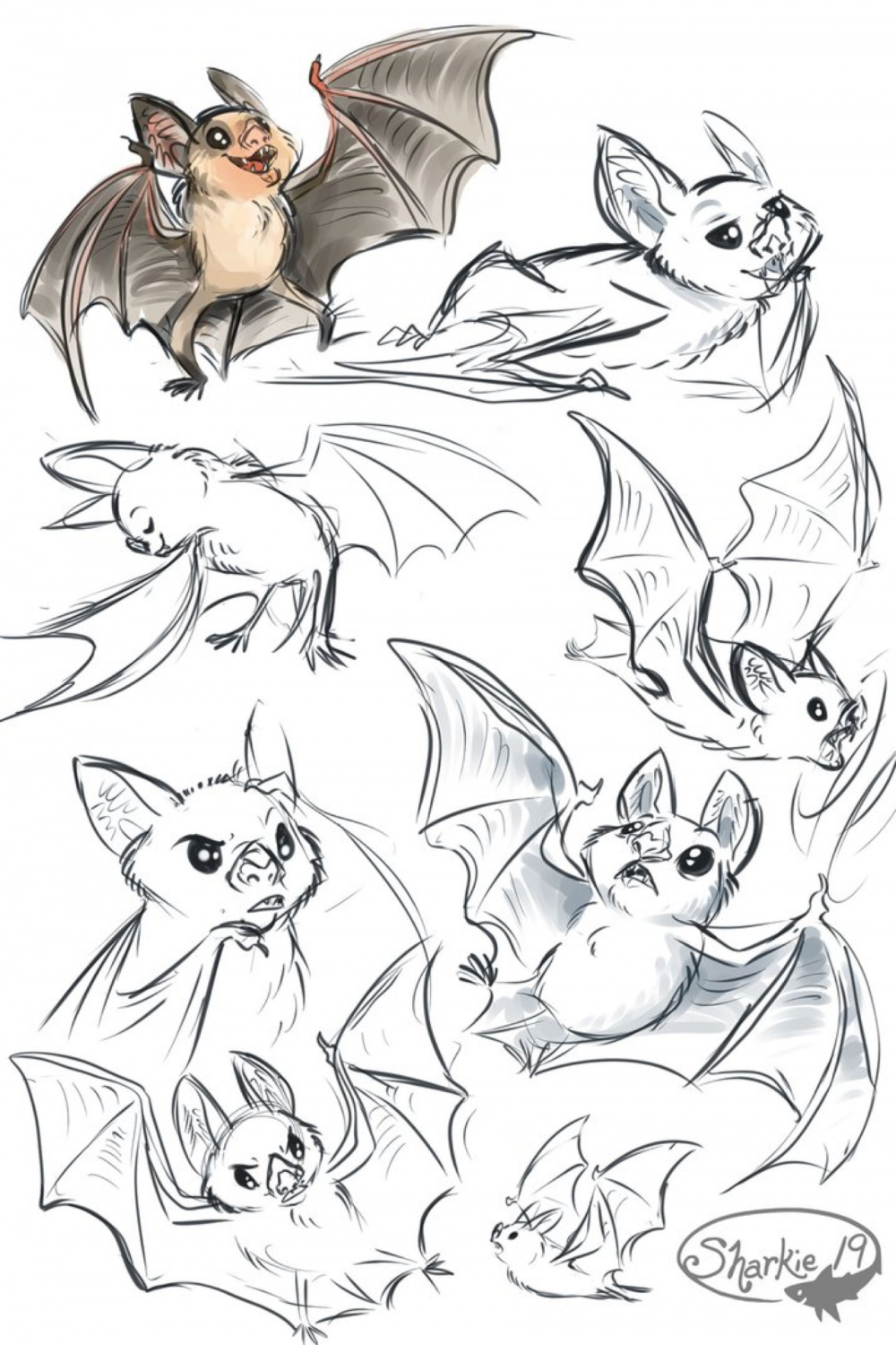 Cute Vampire Bat Drawing