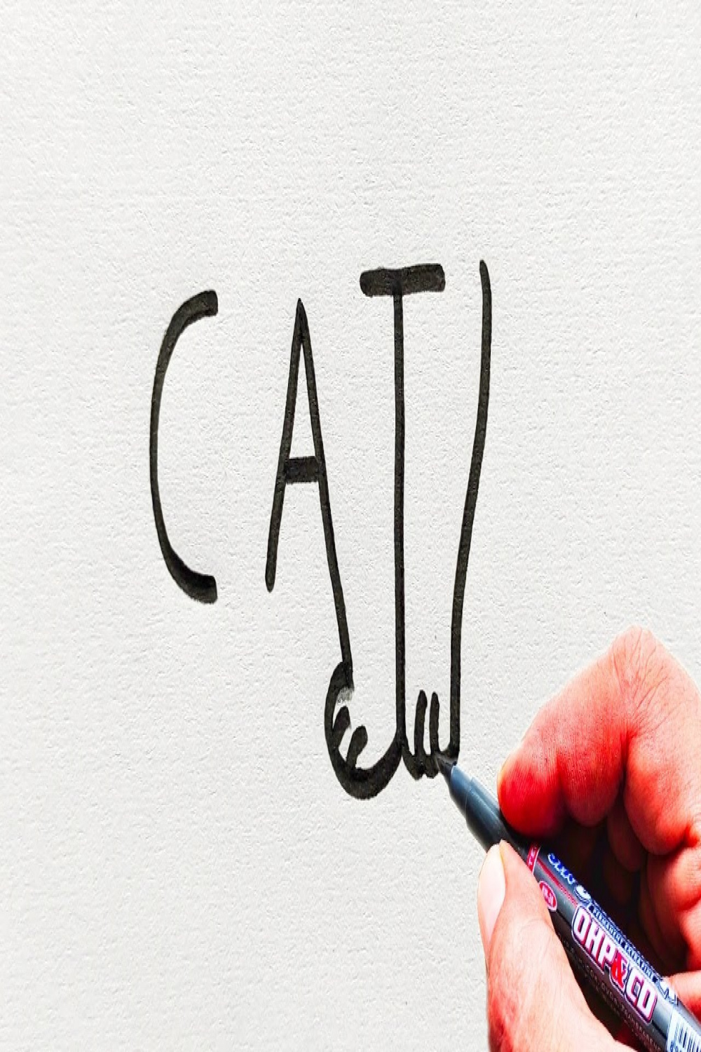 Very Easy! How to turn Words Cat Into a Cute Cat  Easy cat drawing