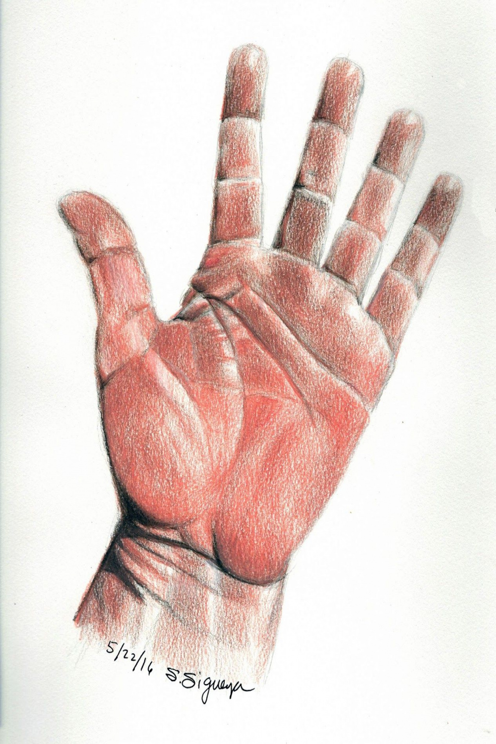 Weekly Mind Sketch  Color pencil drawing, How to draw hands