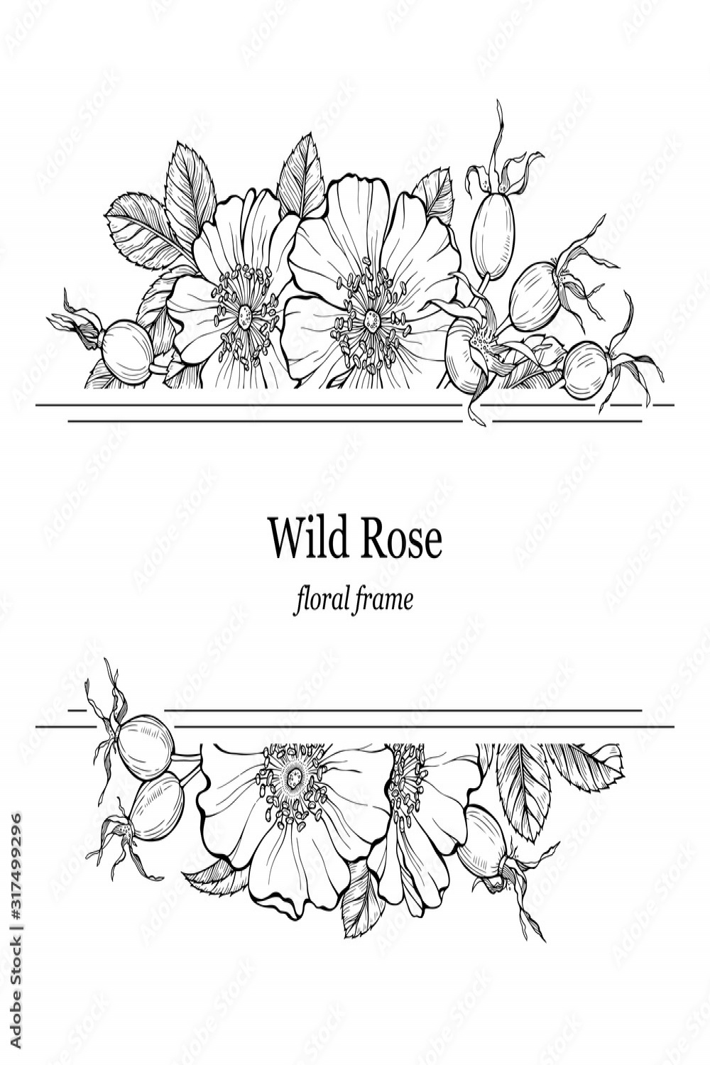 Wild rose flowers and berries frame, line art drawing