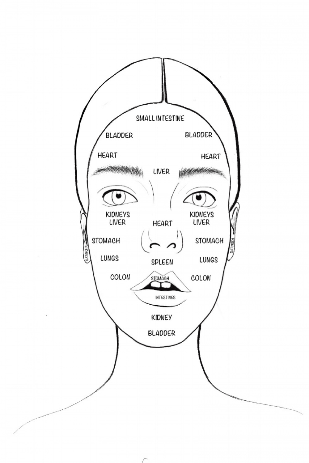 Your Ultimate Guide to Face Mapping — Alchemy Holistics
