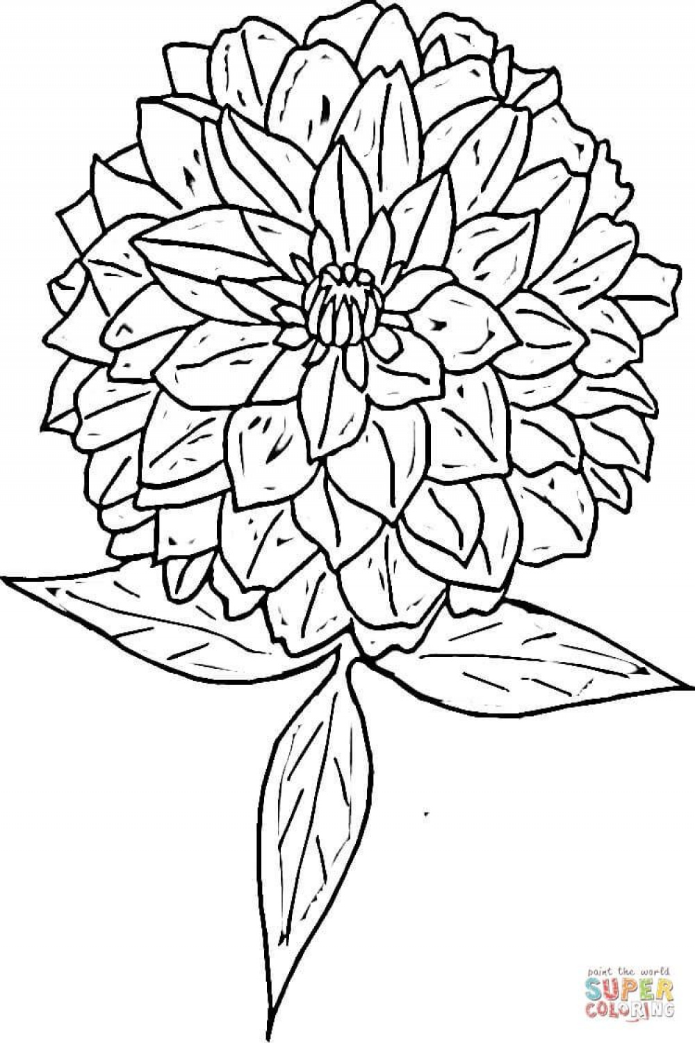 Zinnia Flowers Drawing Coloring Pages