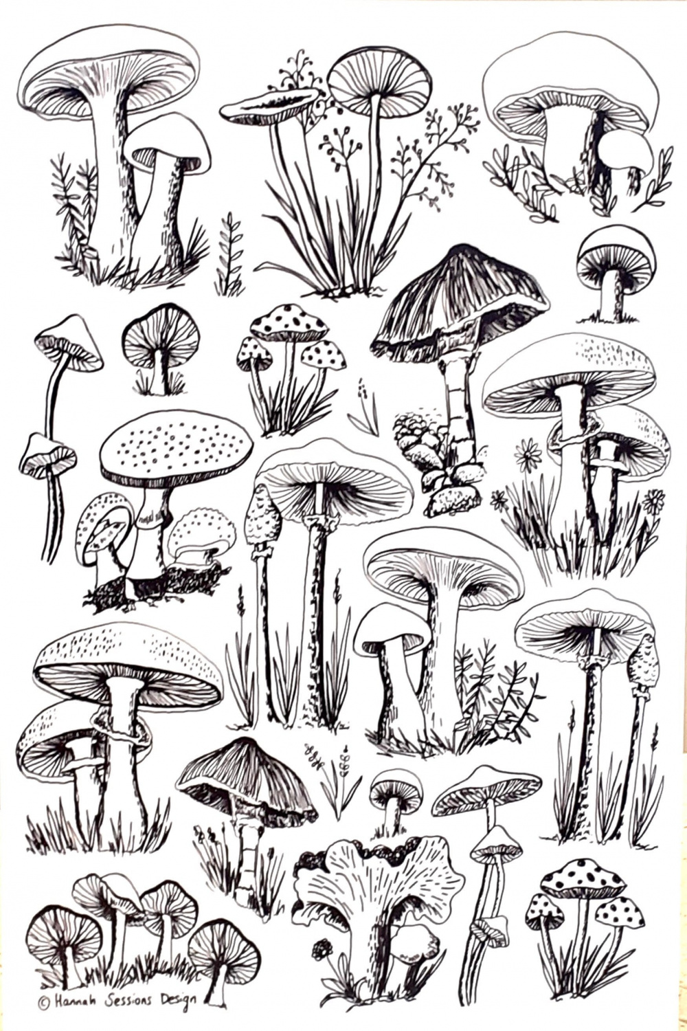 A Art print of mushroom drawings special - Etsy