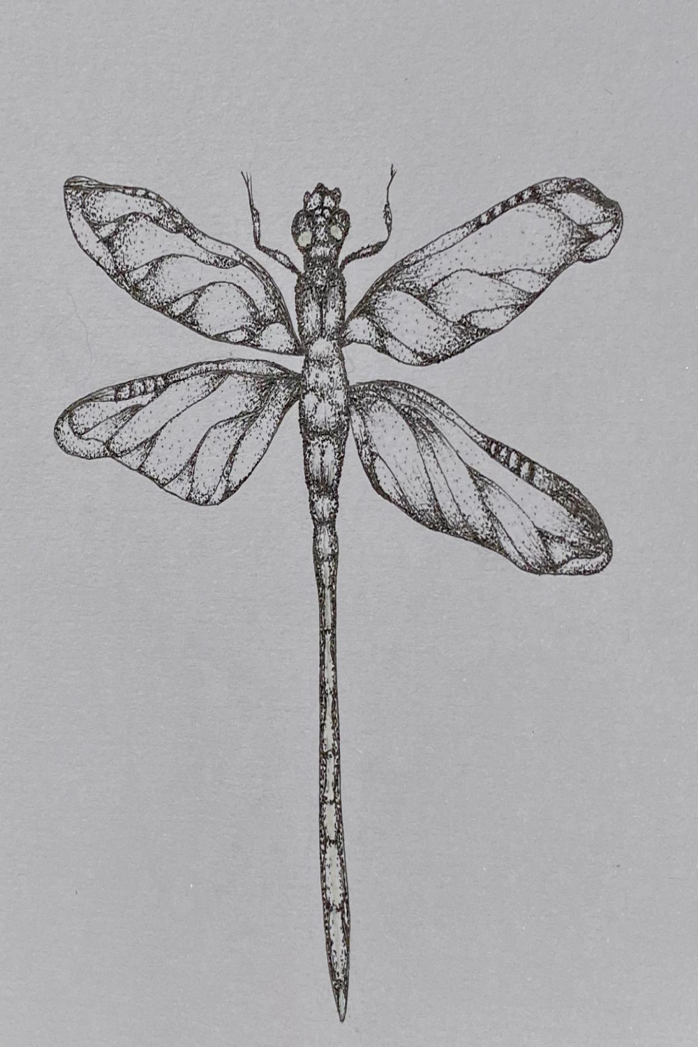 A Dragonfly, Me, Fine Line Pen on Paper,  : r/Art